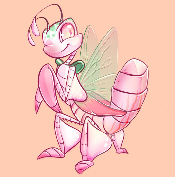 Botanical Ruki - concept